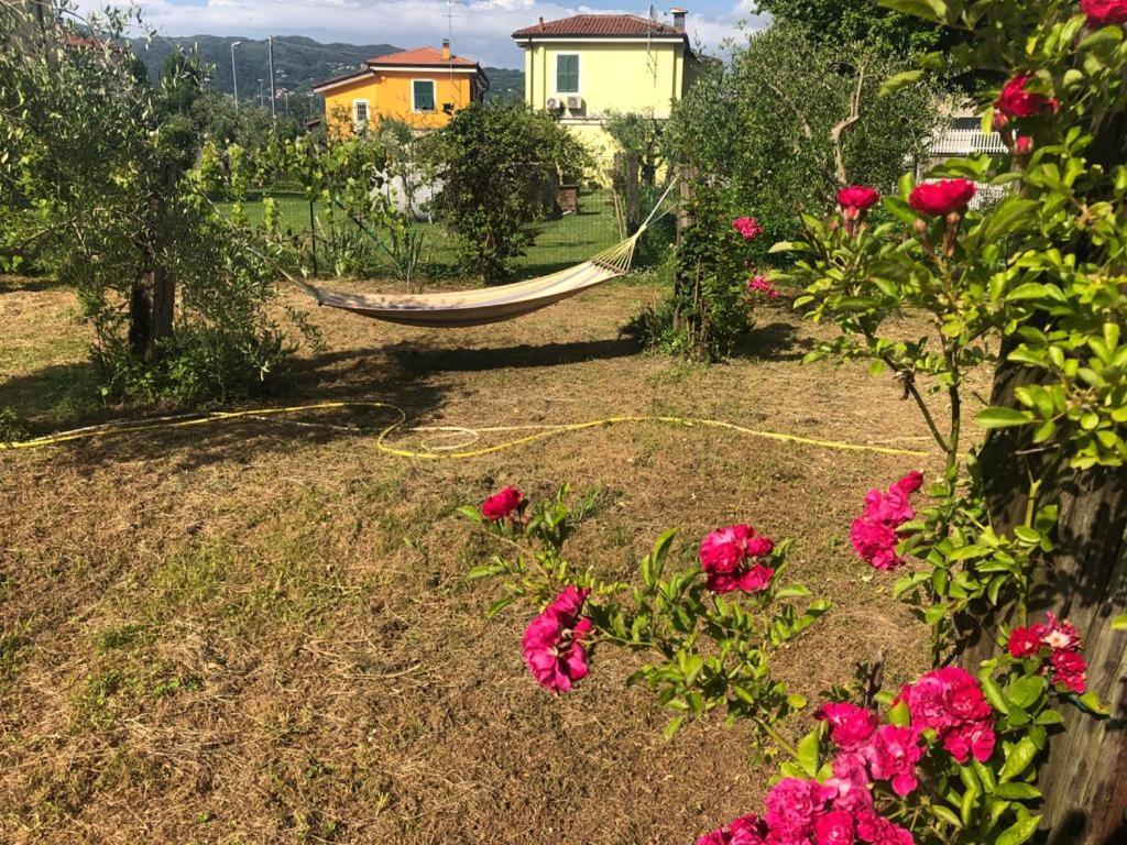 La Casa Di Ulivi Villa Piano di Follo Dış mekan fotoğraf